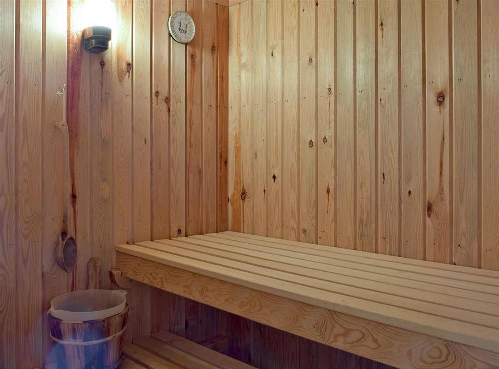 Relaxing sauna at Y Dorlan in Cardigan, Dyfed