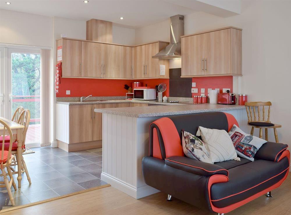 Stylish kitchen and dining area in annex at Y Dorlan in Cardigan, Dyfed