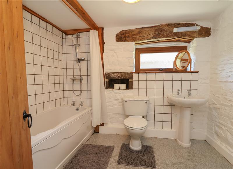 The bathroom (photo 3) at Y Felin, Llanllwni near Llanybydder
