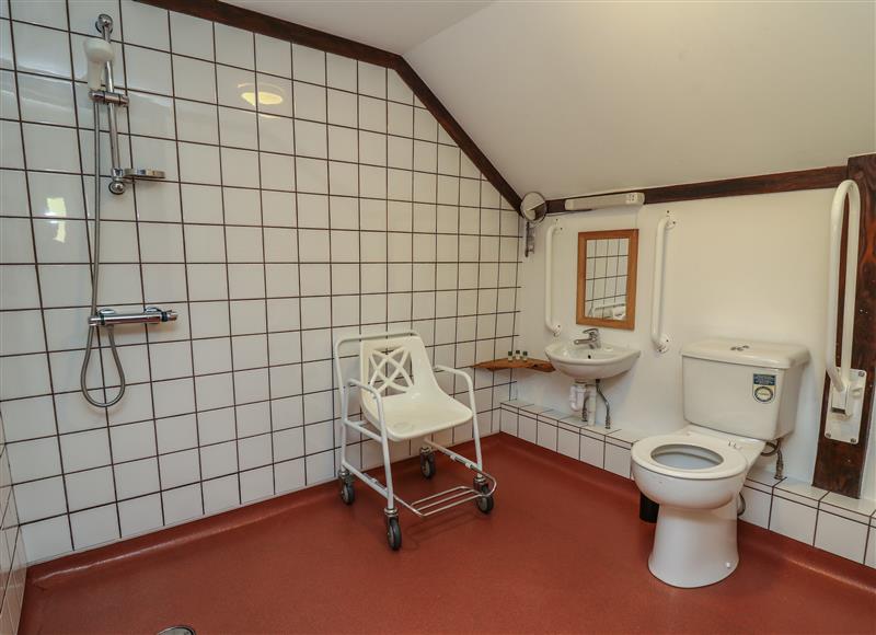The bathroom (photo 4) at Y Felin, Llanllwni near Llanybydder