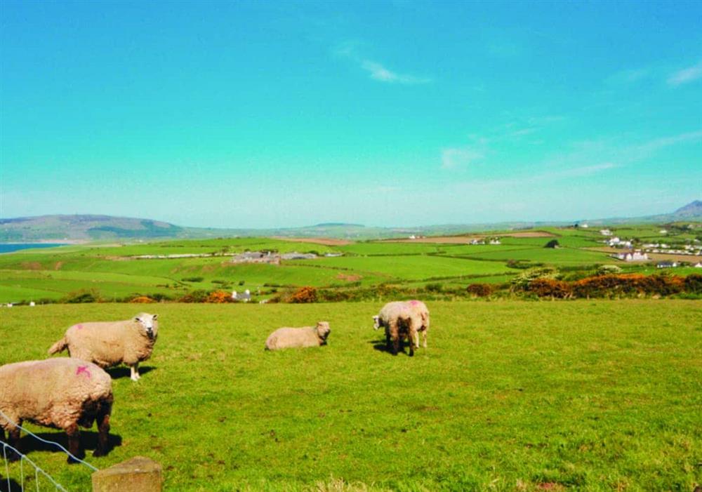 View at Y Gegin in Pwllheli, Gwynedd