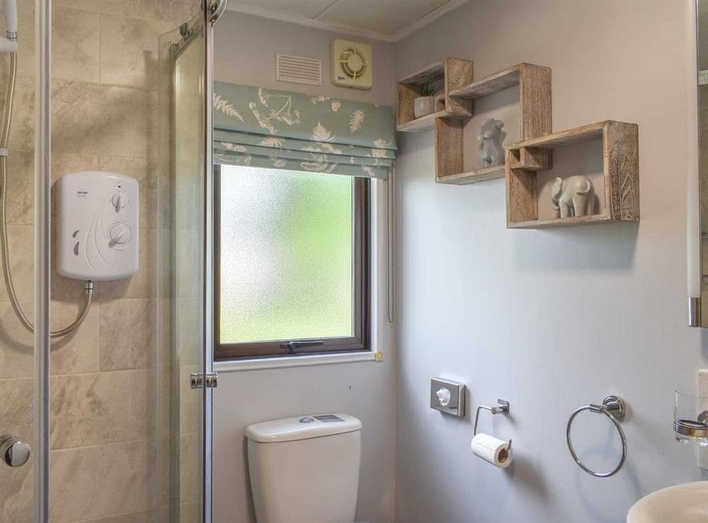 Bathroom (photo 2) at Y Nyth Yn Bwthyn Coed Gellyg in Dinas Dinlle, near Caernarfon, Gwynedd