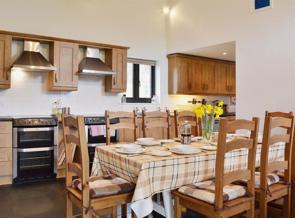 The extremely well- equipped kitchen and the large table make this room a pleasure to use at Y Stabl in Bethlehem, Carmarthenshire