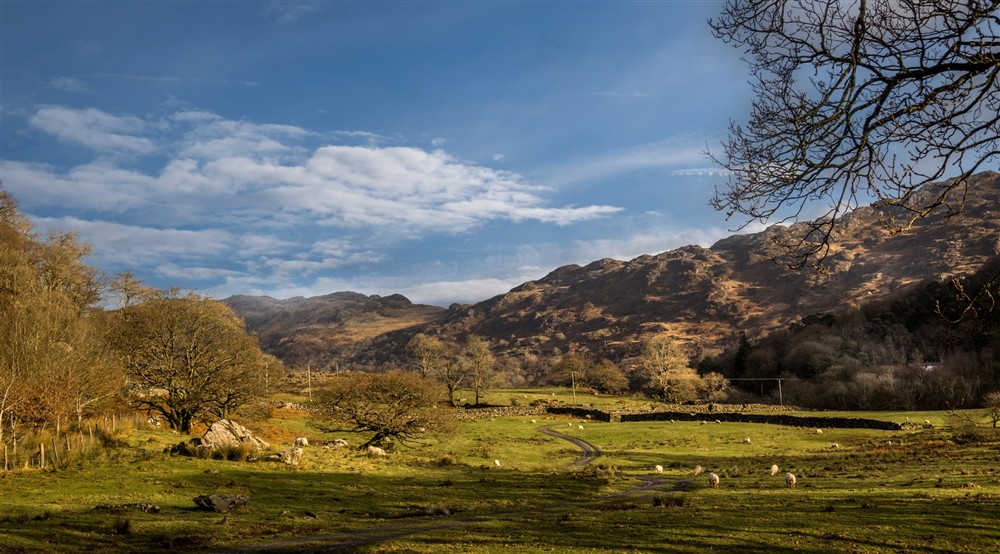 The area surrounding Y Wenallt, Gwynedd (photo 2) at Y Wenallt in Beddgelert, North Wales