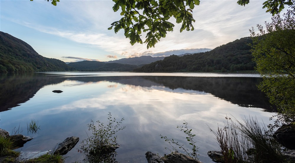 The area surrounding Y Wenallt, Gwynedd at Y Wenallt in Beddgelert, North Wales