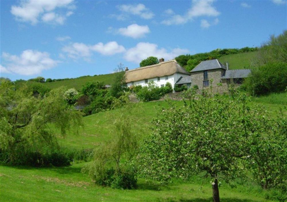 Another view of the cottage from across the grounds at Yeomans Cottage in Salcombe