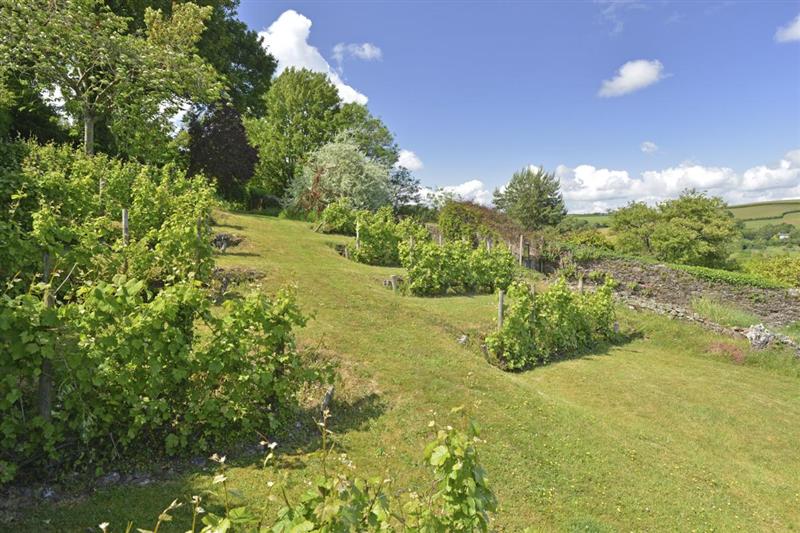 Garden (photo 2) at Yetson House, Totnes, Devon