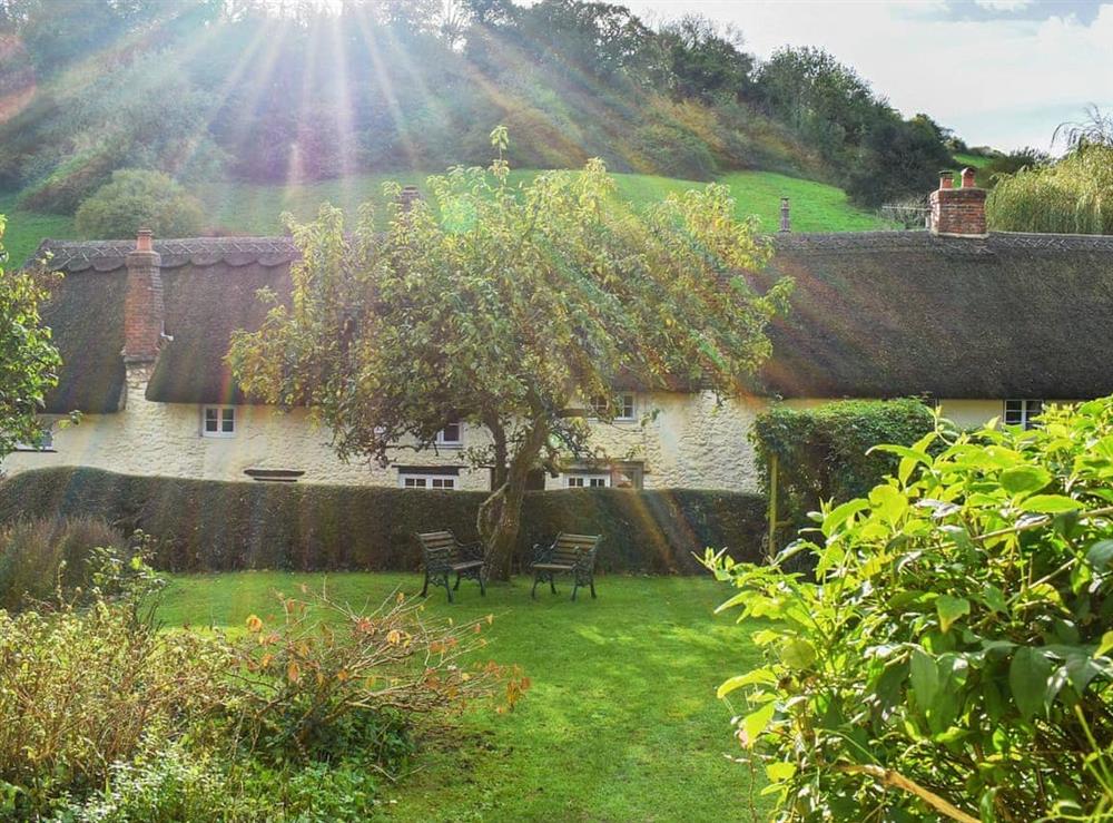 View at Yew Tree Cottage in Branscombe, Devon