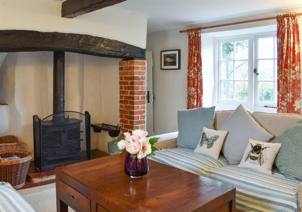 Living room with cosy wood burning stove at Yew Tree Cottage in Farnham, near Blandford Forum, Dorset