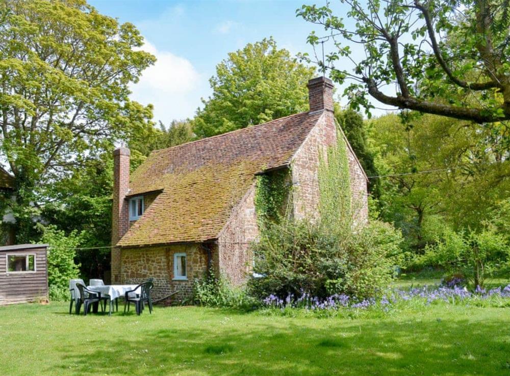 Picturesque garden and grounds at Yew Tree Cottage in Passfield Common, near Liphook, Hampshire