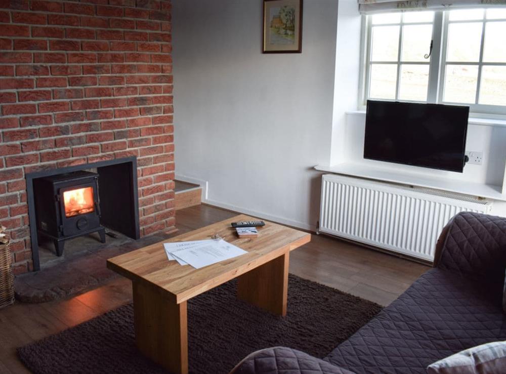 Living room with wood burner at Yew Tree Cottage in West Ayton, near Scarborough, North Yorkshire