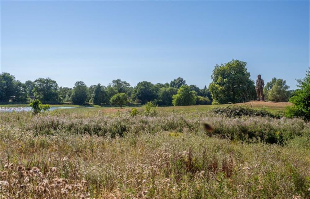 Surrounding fields in Westleton at Yew Tree Cottage, Westleton