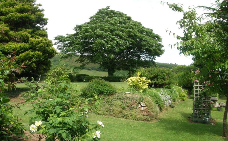 The area around Yew Tree Lodge