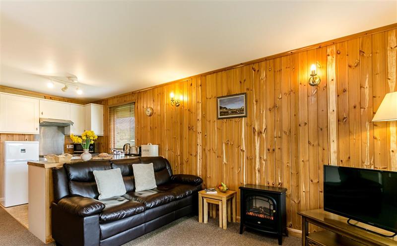 The living area (photo 2) at Yew Tree Lodge, Minehead