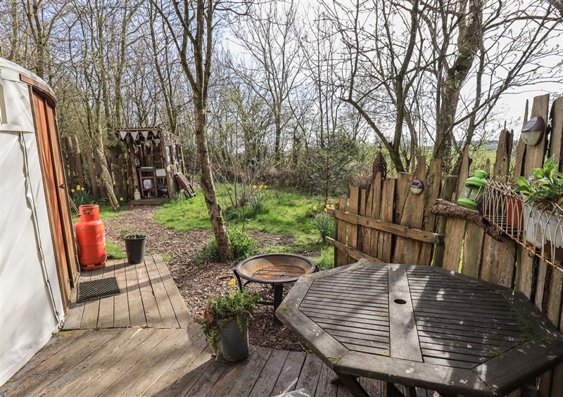 The garden at Yewberrie Yurt, Great Strickland