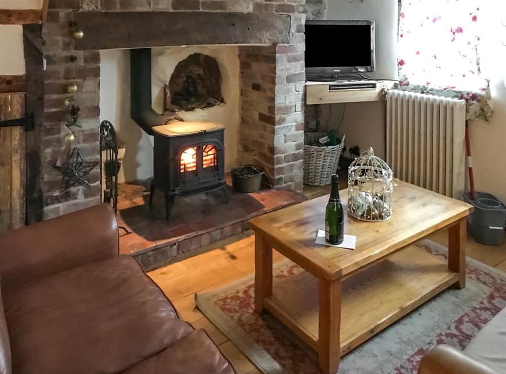 Living room (photo 2) at Ynys Goch Fach in Bronant, near Aberystwyth, Dyfed
