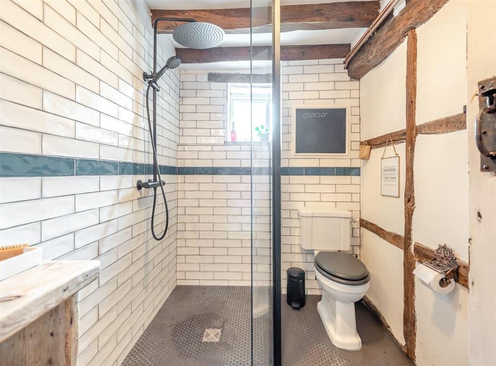 Shower room (photo 2) at Ynyswen in Nantgaredig, Dyfed