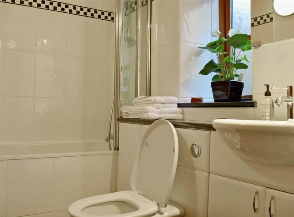 Bathroom at Yr Efail in Machynlleth, Powys