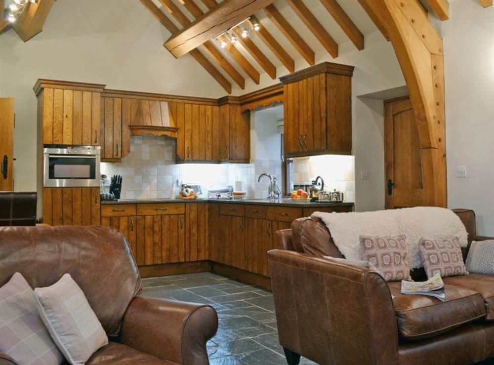Open plan living/dining room/kitchen (photo 3) at Yr Efail in Machynlleth, Powys