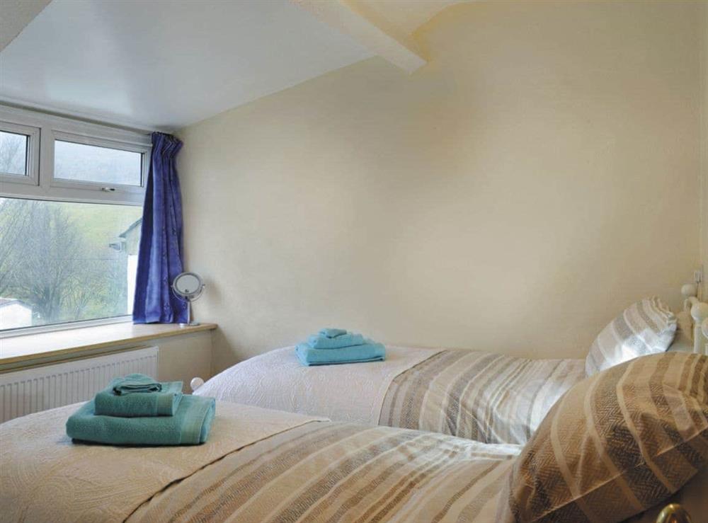 Charming twin bedroom at Yr Hen Scubor in Cwmystwyth, Dyfed