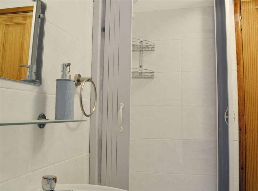 Shower room at Yr Hen Scubor in Cwmystwyth, Dyfed