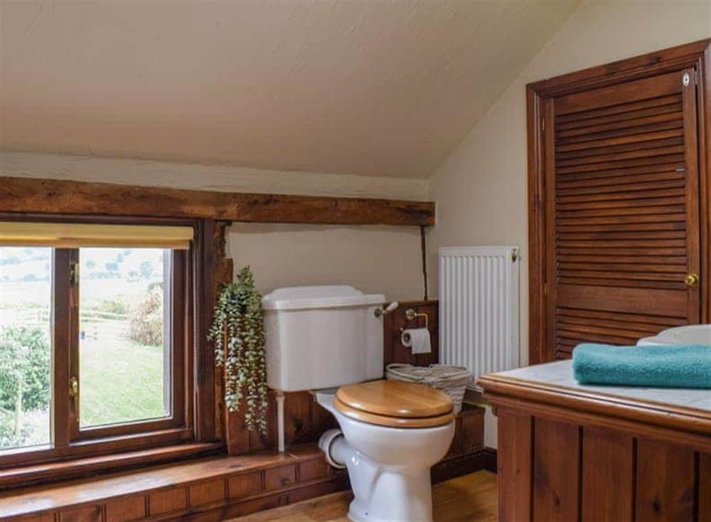 Bathroom at Ysgubor Hir in Trefeglws, near Llanidloes, Powys