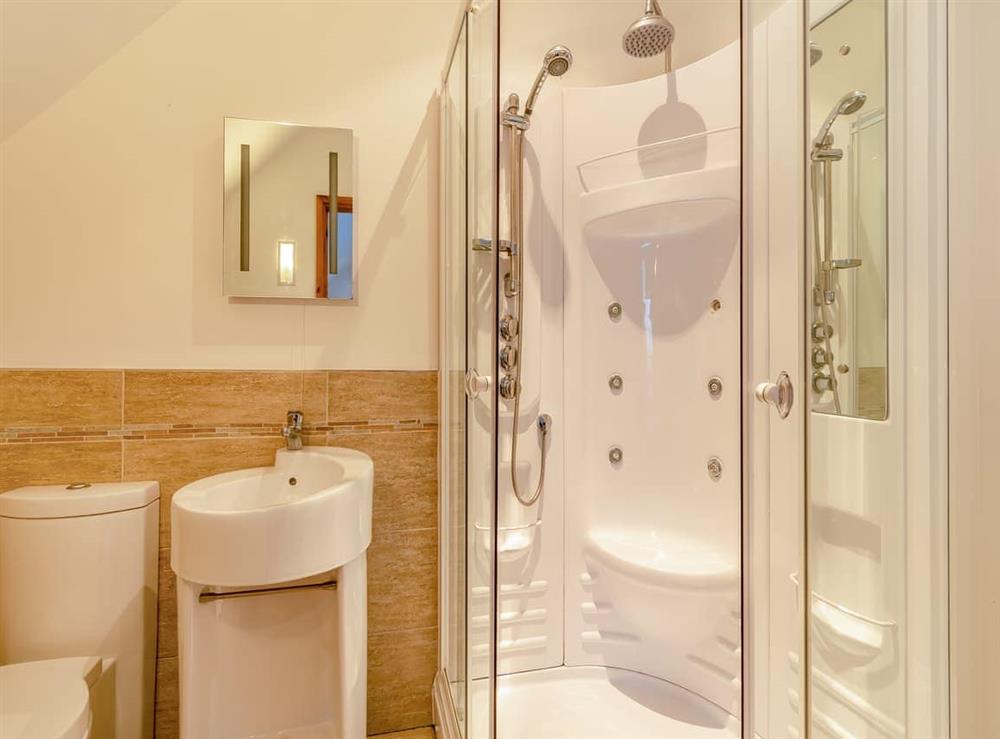 Shower room (photo 5) at Ysgubor Mawr in Felinwynt, Dyfed