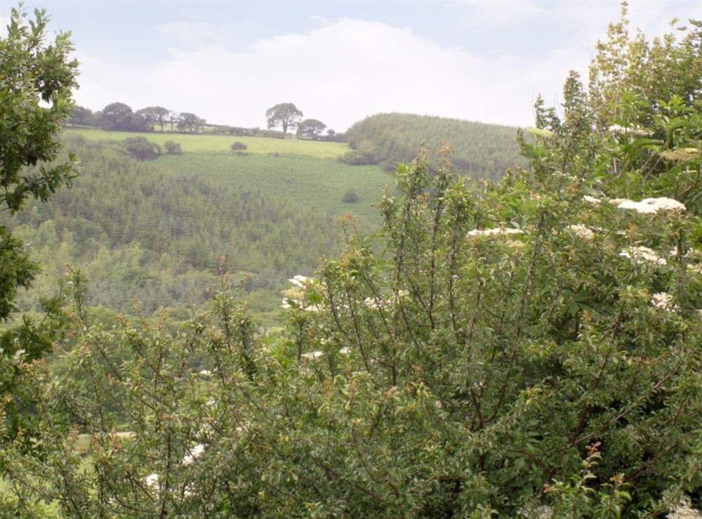 Surrounding area at Ysgubor Uchaf in Llanglydwen, Whitland, West Carmarthenshire., Dyfed