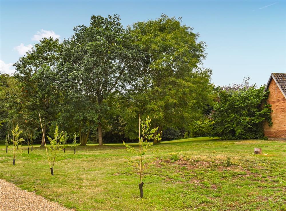 Surrounding area at Zambezi in Halesworth, Suffolk