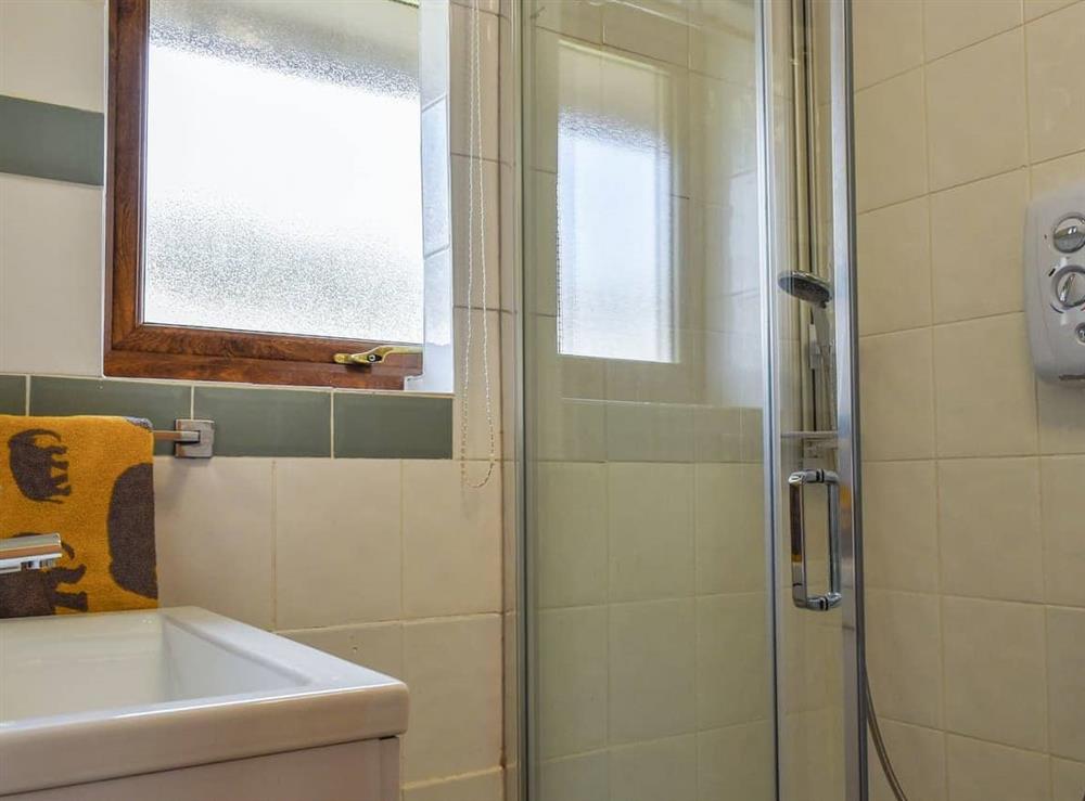 Shower room (photo 2) at Zebra House in Blaenavon, Cardiff, Gwent