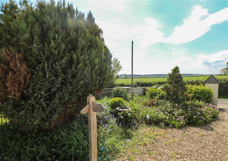 Enjoy the garden at Zoar Chapel, Carew